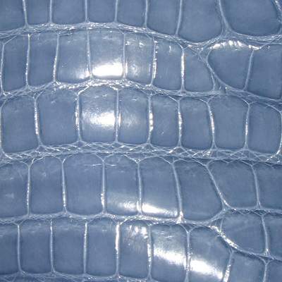 Галантерейная кожа крокодила голубая ALANDA