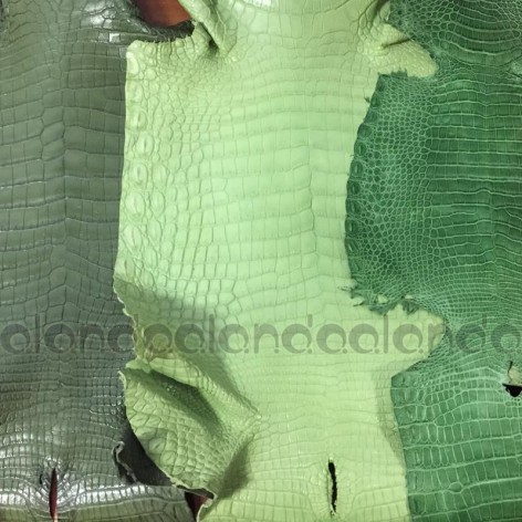 Зеленые галантерейные шкурки крокодила