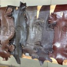 Галантерейная кожа крокодила коричневая ALANDA